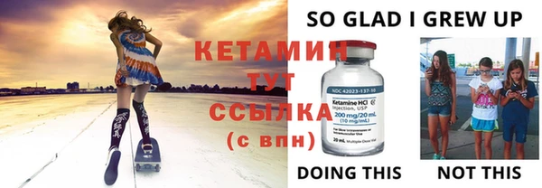 крисы Верея