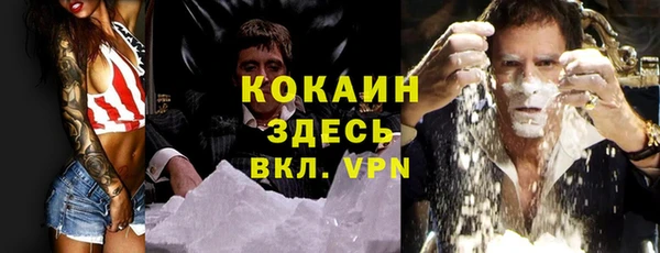 крисы Верея