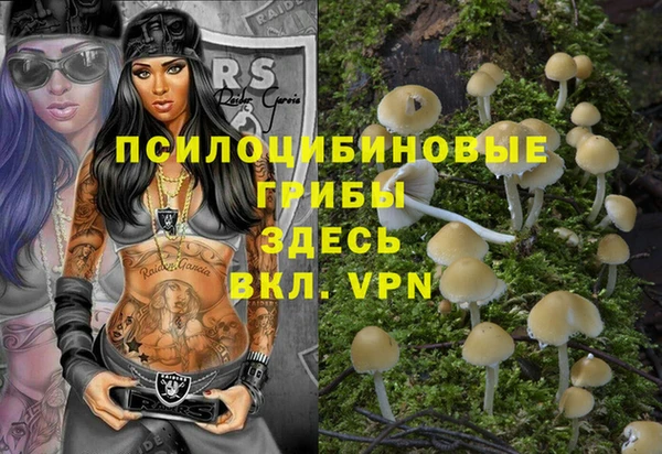 крисы Верея