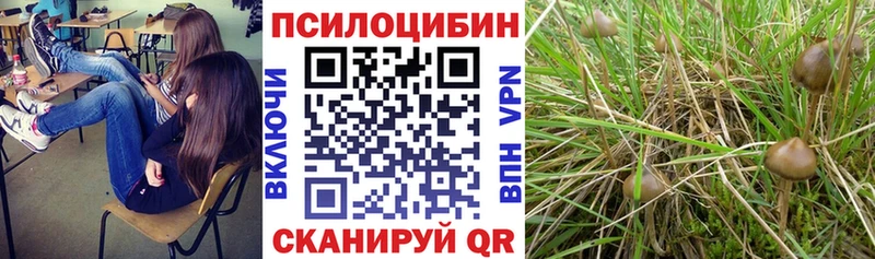 Галлюциногенные грибы мухоморы  Семёнов 